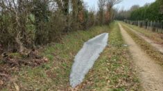 Vendée : un maçon vide son surplus de béton dans un fossé, le maire le retrouve