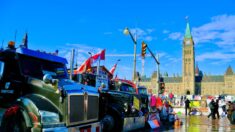 Les entreprises de remorquage d’Ottawa refusent de retirer les camions du Convoi de la liberté