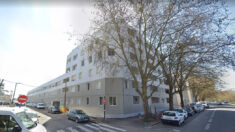 Bordeaux : sa résidence étudiante est infestée de cafards, le bailleur lui répond de « vivre avec »
