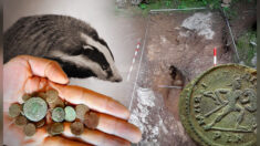 Un blaireau découvre dans une grotte d’Espagne un trésor de plus de 200 pièces de monnaie romaines datant du IIIe siècle