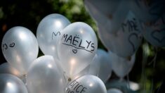 Affaire Maëlys : condamné à perpétuité, Nordhal Lelandais ne fera pas appel