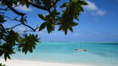 La Polynésie française veut protéger un million de km2 dans l’océan
