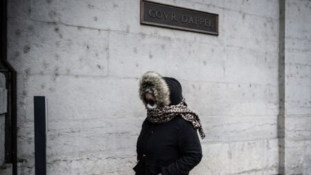 Affaire Fiona : Cécile Bourgeon définitivement condamnée pour le meurtre de sa fille