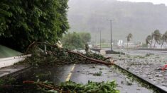 Le cyclone Batsirai longe l’île française de la Réunion en alerte rouge, déjà 12 blessés