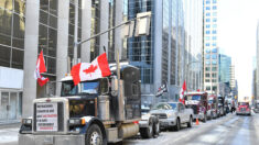 « Convoi de la liberté » : la situation à Ottawa « hors de contrôle », indique le maire de la capitale