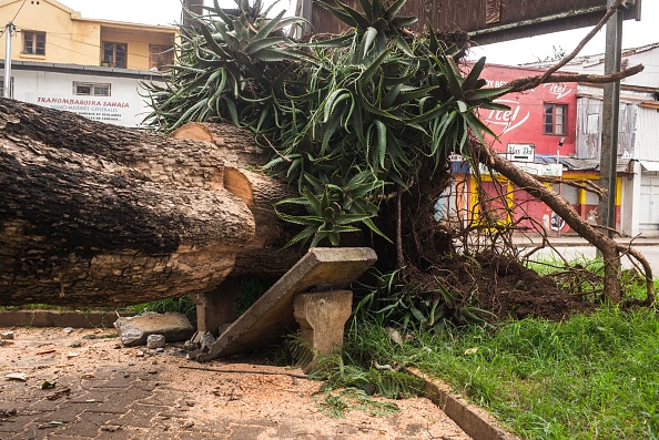 6Un arbre déraciné et tombé sur un jardin public du centre d'Antsirabe après le passage du cyclone Batsirai le 6 février 2022. Photo de RIJASOLO/AFP via Getty Images.
