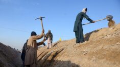 Vidéos- Afghanistan : un garçon de 9 ans coincé dans un puits profond de 25 mètres depuis mardi