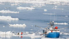 L’Espagne en deuil après le naufrage d’un de ses bateaux de pêche au large du Canada