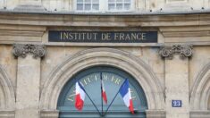 Une «envahissante anglicisation» de notre langue : l’Académie française tire la sonnette d’alarme