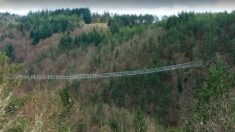 Haute-Loire : découvrez la plus longue passerelle himalayenne de France [Vidéo]