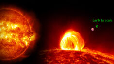[VIDÉO] Un artiste crée un timelapse époustouflant du soleil sur un mois en utilisant des films de la NASA