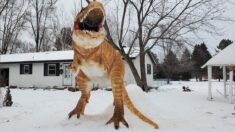 Découvrez la sculpture d’un énorme dinosaure T-Rex en neige