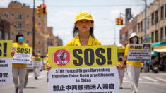 « Un crime parfait qui ne laisse aucun survivant » : des enquêteurs expliquent l’industrie macabre des prélèvements forcés d’organes en Chine