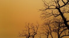Un ciel orange et des poussières venues du Sahara sur une partie de l’Espagne et de la France