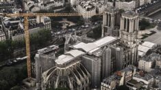 Reconstruction de Notre-Dame : la mairie de Paris va exonérer le chantier de redevance