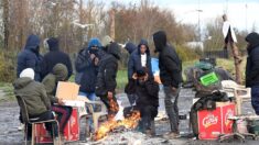 Le préfet de Calais condamné pour le démantèlement d’un camp de migrants