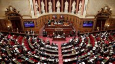 Le Sénat accuse les filiales françaises du cabinet McKinsey d’optimisation fiscale
