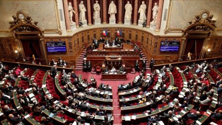 Le Sénat accuse les filiales françaises du cabinet McKinsey d’optimisation fiscale