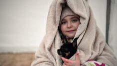 La France suspend les procédures d’adoption pour les enfants d’Ukraine et de Russie