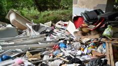 Oise : il jette ses déchets en pleine nature, le maire retrouve son adresse dans les cartons et les lui renvoie