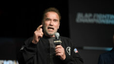 « Vous pouvez stopper cette guerre » : Arnold Schwarzenegger s’adresse aux Russes et à Vladimir Poutine