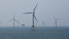 Jean Castex lance deux premiers projets de parcs éoliens flottants en Méditerranée