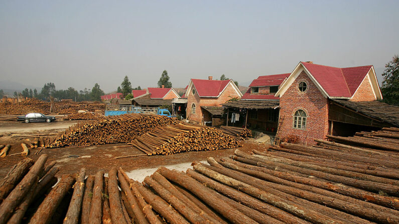 Grumes de bois dans une usine du district de Gaoming, ville de Foshan, province de Guangdong en Chine. (Photo de Cancan Chu/Getty Images)