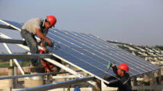 Le travail forcé des Ouïghours, toujours plus répandu dans la chaîne d’approvisionnement de l’industrie solaire