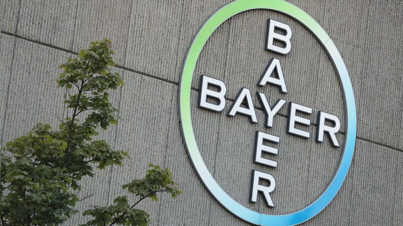 Le logo du siège à Berlin du géant allemand pharmaceutique et agrochimique Bayer, le 14 septembre 2016. (Photo par Sean Gallup/Getty Images)