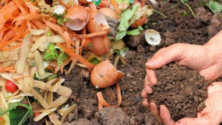 Tri des déchets : le compost va devenir obligatoire en France dès le 31 décembre 2023
