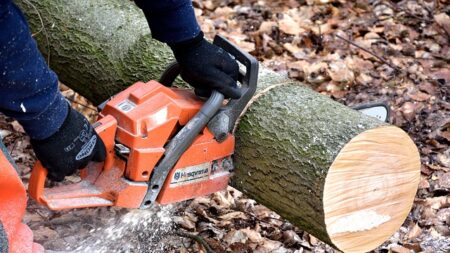 Seine-Maritime : un homme meurt écrasé par un tronc d’arbre alors qu’il coupait du bois avec son fils