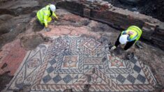 Des archéologues découvrent une énorme mosaïque de style romain en plein cœur de Londres