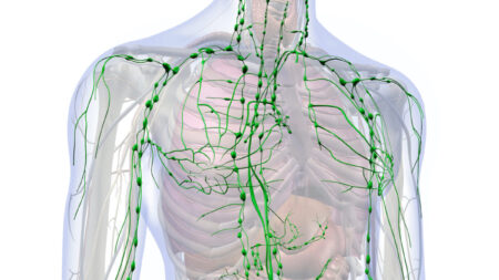 D’une importance cruciale et presque ignoré : le flux lymphatique