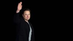 L’Europe devrait relancer les centrales nucléaires en sommeil, déclare Elon Musk