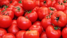 Flambée du prix des légumes à La Réunion, les tomates sont vendues à 10 euros le kilo