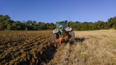 Près de Lyon : l’adolescent de 17 ans écrasé par un tracteur n’a pas survécu à ses blessures