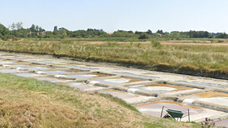 C'est dans les marais salants de l'Île-d-Olonne que cette découverte historique exceptionnelle a été faite. (Capture d'écran/Google Maps)