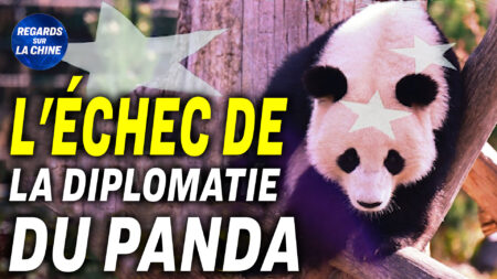 Focus sur la Chine – La diplomatie chinoise du panda a-t-elle perdu son éclat?