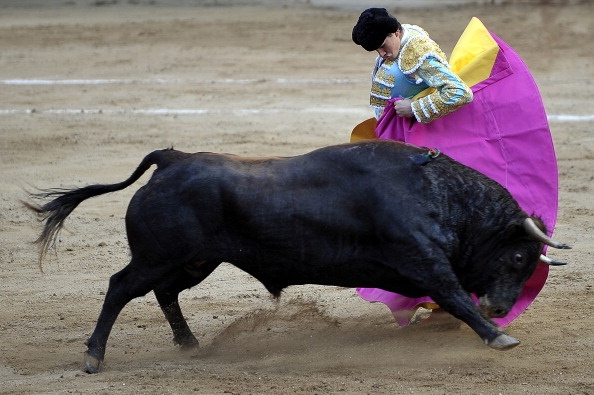 Le matador Daniel Luque en pleine action en 2010. (LUIS ROBAYO/AFP via Getty Images)