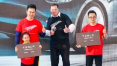 Elon Musk fait la promotion du socialisme en Chine