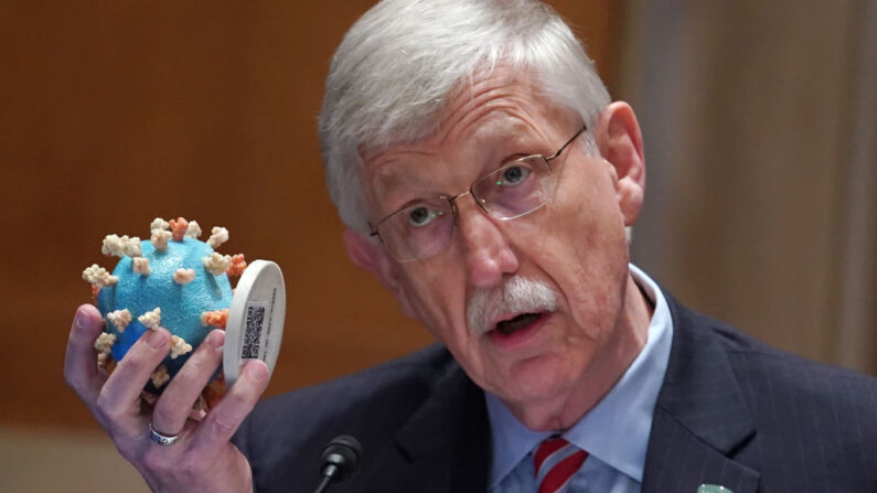 Le directeur des National Institutes of Health (NIH), le Dr Francis Collins, présente un modèle de coronavirus alors qu'il témoigne devant une sous-commission sénatoriale chargée d'examiner les prévisions budgétaires des NIH et l'état de la recherche médicale au Capitole, le 26 mai 2021 à Washington, DC. (Photo : Sarah Silbiger-Pool/Getty Images)