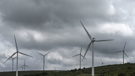 Les populations rurales largement opposées aux éoliennes, selon un sondage