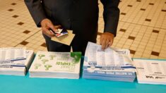 Distribution des tracts présidentiels: un cabinet de conseil payé près de 300.000€ pour constater qu’il faut remplacer La Poste par… La Poste