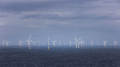 La Belgique a porté plainte contre un projet français de parc éolien au large de Dunkerque