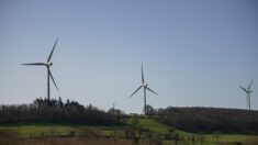 Haute-Garonne : une pâle d’éolienne se casse près de sa maison, le propriétaire demande l’arrêt total du parc