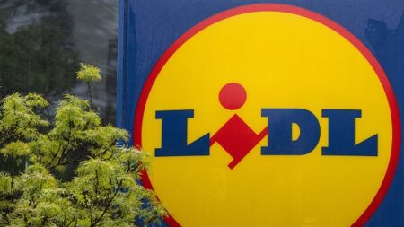 Lidl : une employée fait un malaise, elle est licenciée pour avoir mangé un biscuit dont la date est dépassée pour se remettre