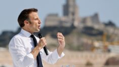 Présidentielle 2022 : l’idée d’Emmanuel Macron de créer une « Fête de la nature » existe déjà, souligne l’UICN