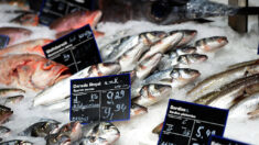 Listeria : des filets de haddock fumés rappelés dans tous les Carrefour et Leclerc de France