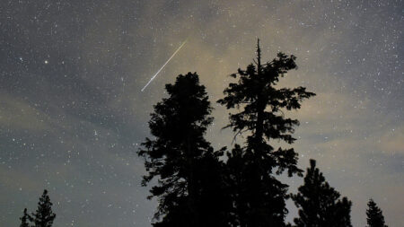 Pluie d’étoiles filantes : voici comment profiter du spectacle des Lyrides