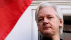 Législatives 2022 : Jean-Luc Mélenchon promet de naturaliser Julian Assange s’il est nommé Premier ministre